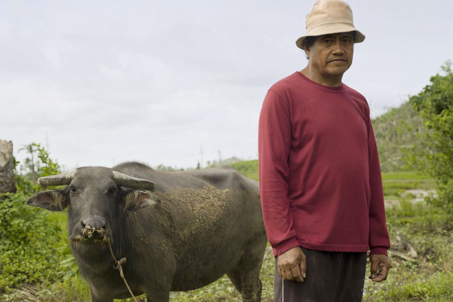 Farmer Gistado Gallaron