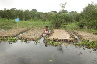 Farmer Shefali Mrithunjoy